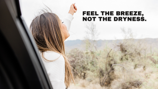 Feel the autumn breeze, not the autumn dryness.